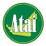 avatar user
