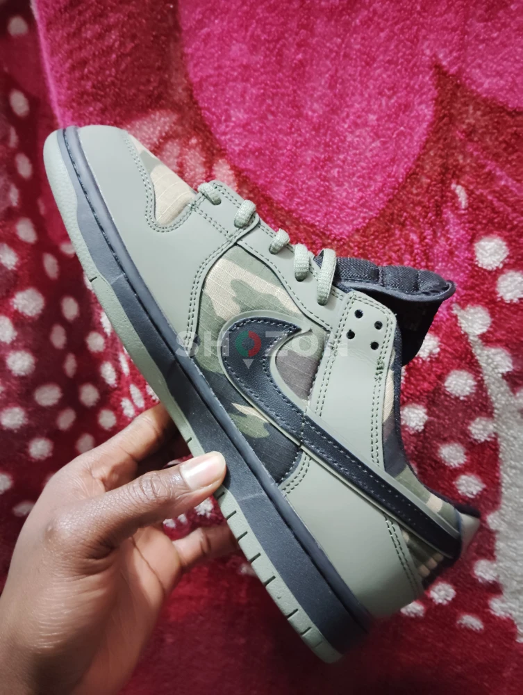 nike dunks/SB