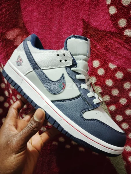 nike dunks/SB