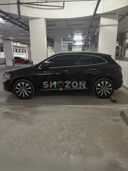 Shozon Ad image