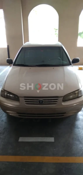 Shozon Ad image