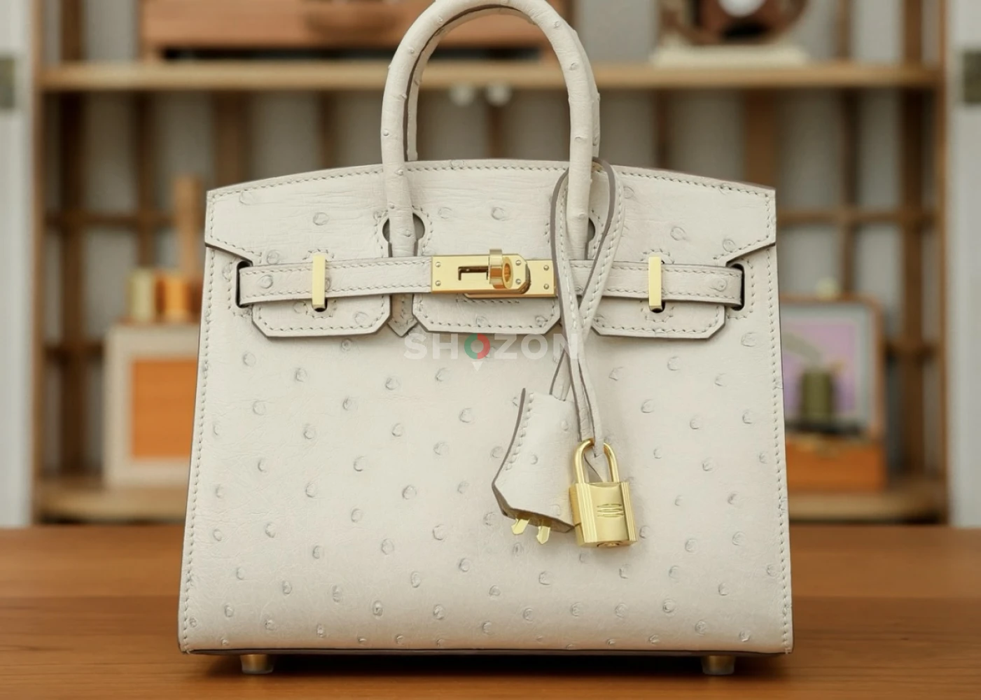 Hermes birkin 20 nata ostrich GHW