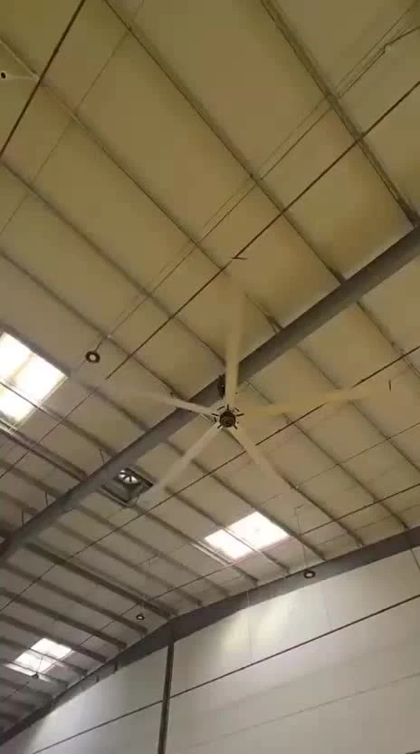 Large Gym Ceiling Fan 