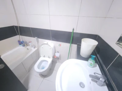 Looking for Female Room mates 2 girls