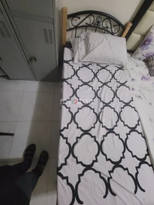 Looking for Female Room mates 2 girls