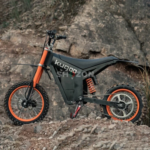 Wish01 Electric Dirt Bike - High-Performance Off-Road Adventure