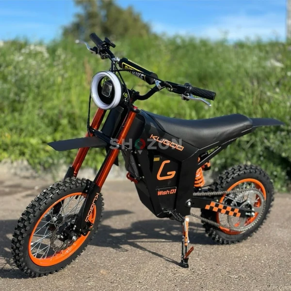 Wish01 Electric Dirt Bike - High-Performance Off-Road Adventure