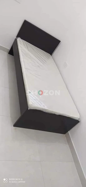 Shozon Ad image
