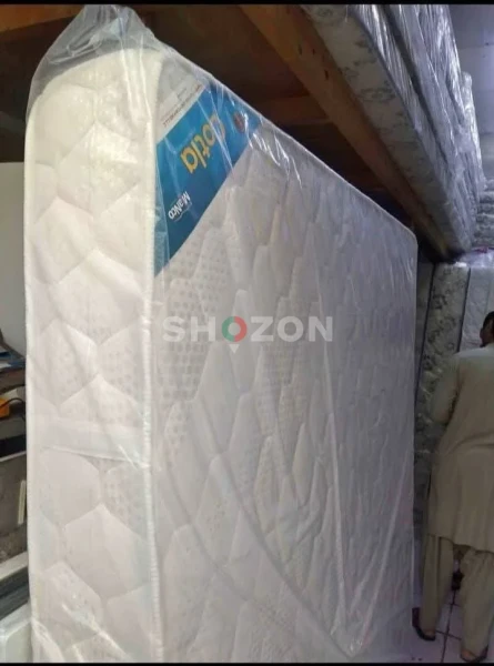 Shozon Ad image