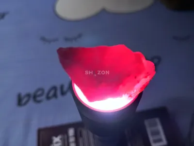 Shozon listing image