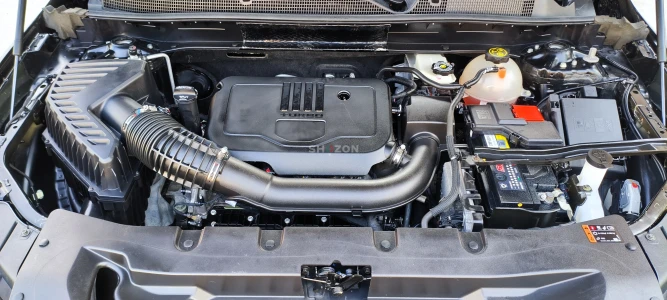 Shozon listing image