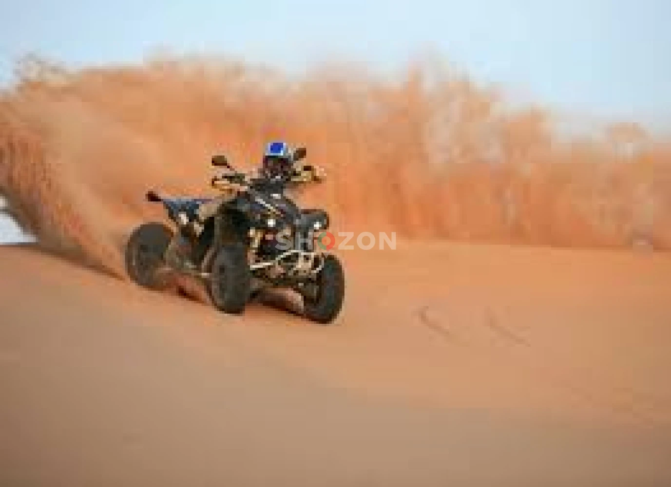 Desert Safari Special offer 