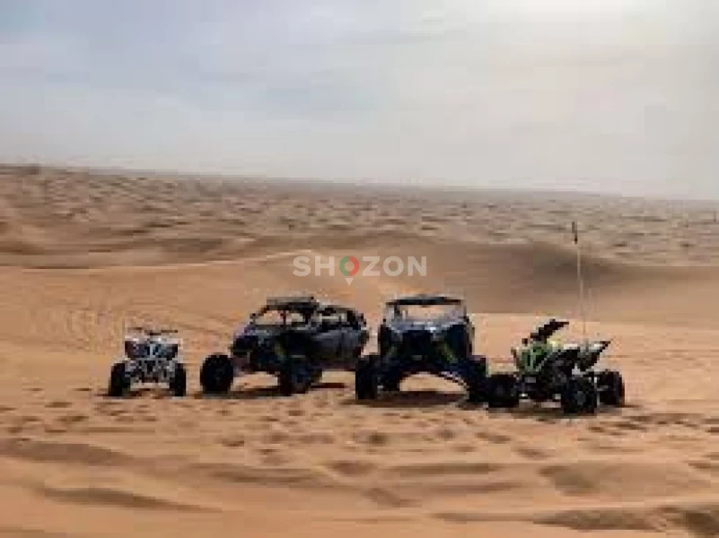 Desert Safari Special offer 