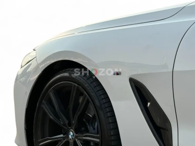 Shozon listing image