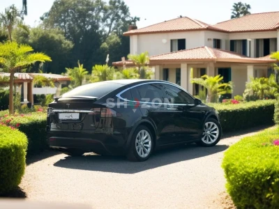 Shozon listing image