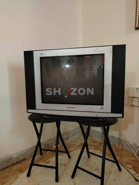 Shozon Ad image