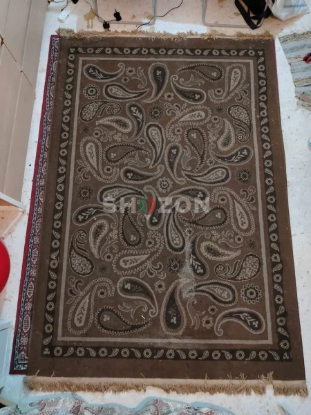 Shozon Ad image