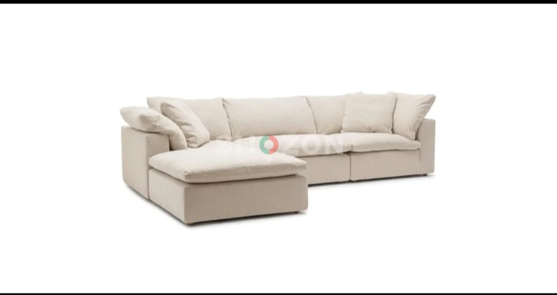 Shozon Ad image