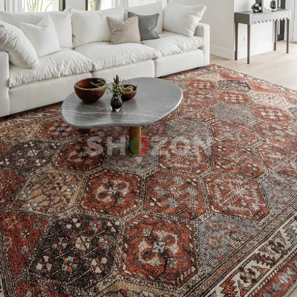 Shozon Ad image