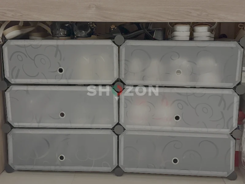 Shozon Ad image