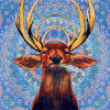 Shozon Avatar Image