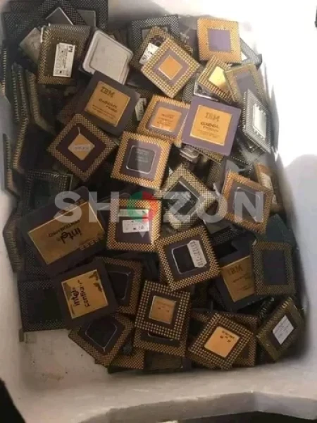 Shozon Ad image