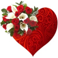 Shozon Avatar Image