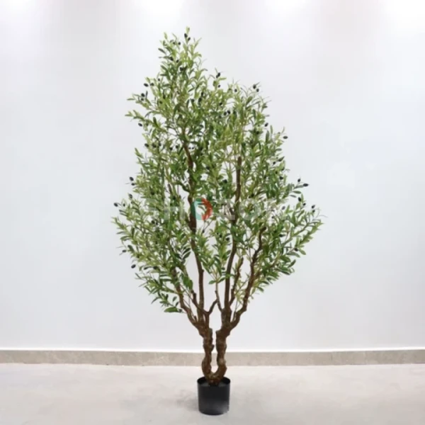 Shozon Ad image