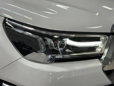 Shozon listing image