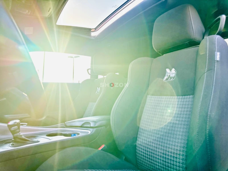 Shozon listing image