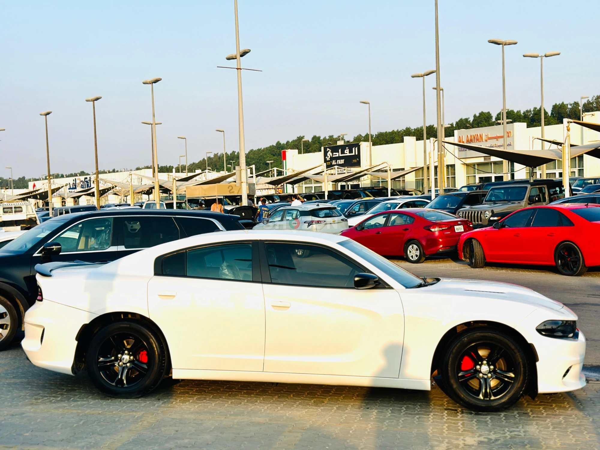 Monthly 900/- | 0% DP | Memory Seats | Fog Lights | Park Assist | # 37793