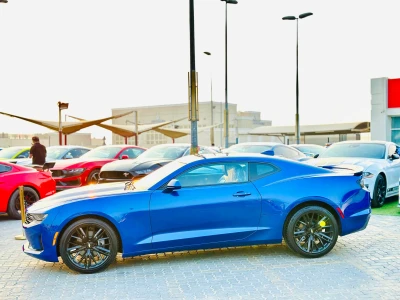 Shozon listing image