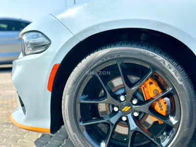 Shozon listing image