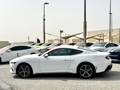 Shozon listing image