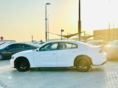 Shozon listing image