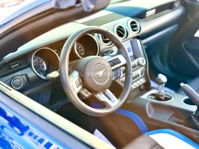 Shozon listing image