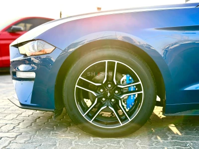 Shozon listing image