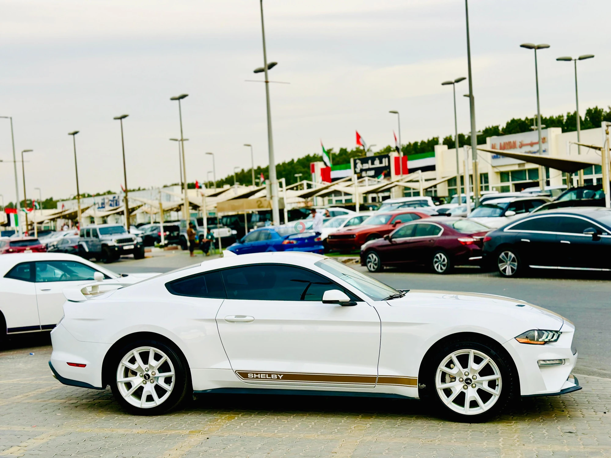 Monthly AED 1400/- | 0 DP | Fog Lights | Lane Assist | Adaptive Cruise Control | Ref 12590