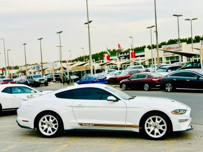 Shozon listing image