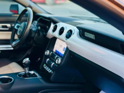 Shozon listing image