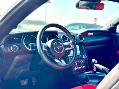 Shozon listing image