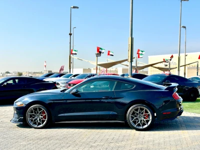 Shozon listing image