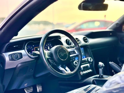 Shozon listing image