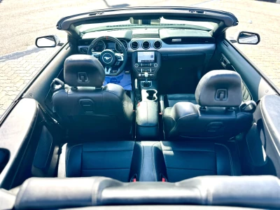 Shozon listing image