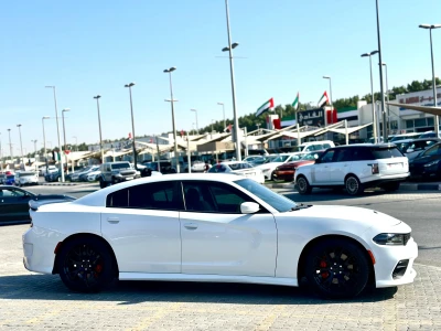 Shozon listing image