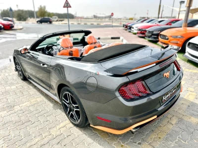 Shozon listing image