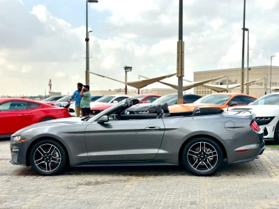 Shozon listing image