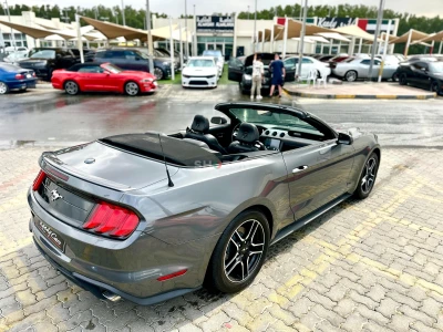 Shozon listing image