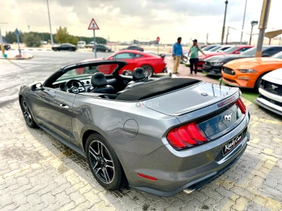 Shozon listing image