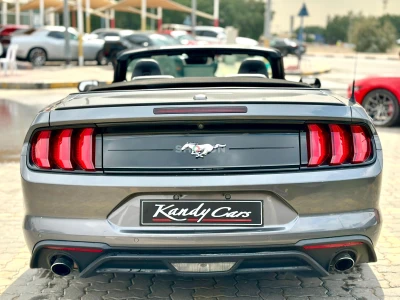 Shozon listing image